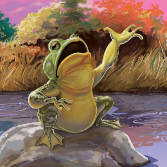Illustration of a fat frog on a rock in a pond, singing to bring the stars out in the evening.